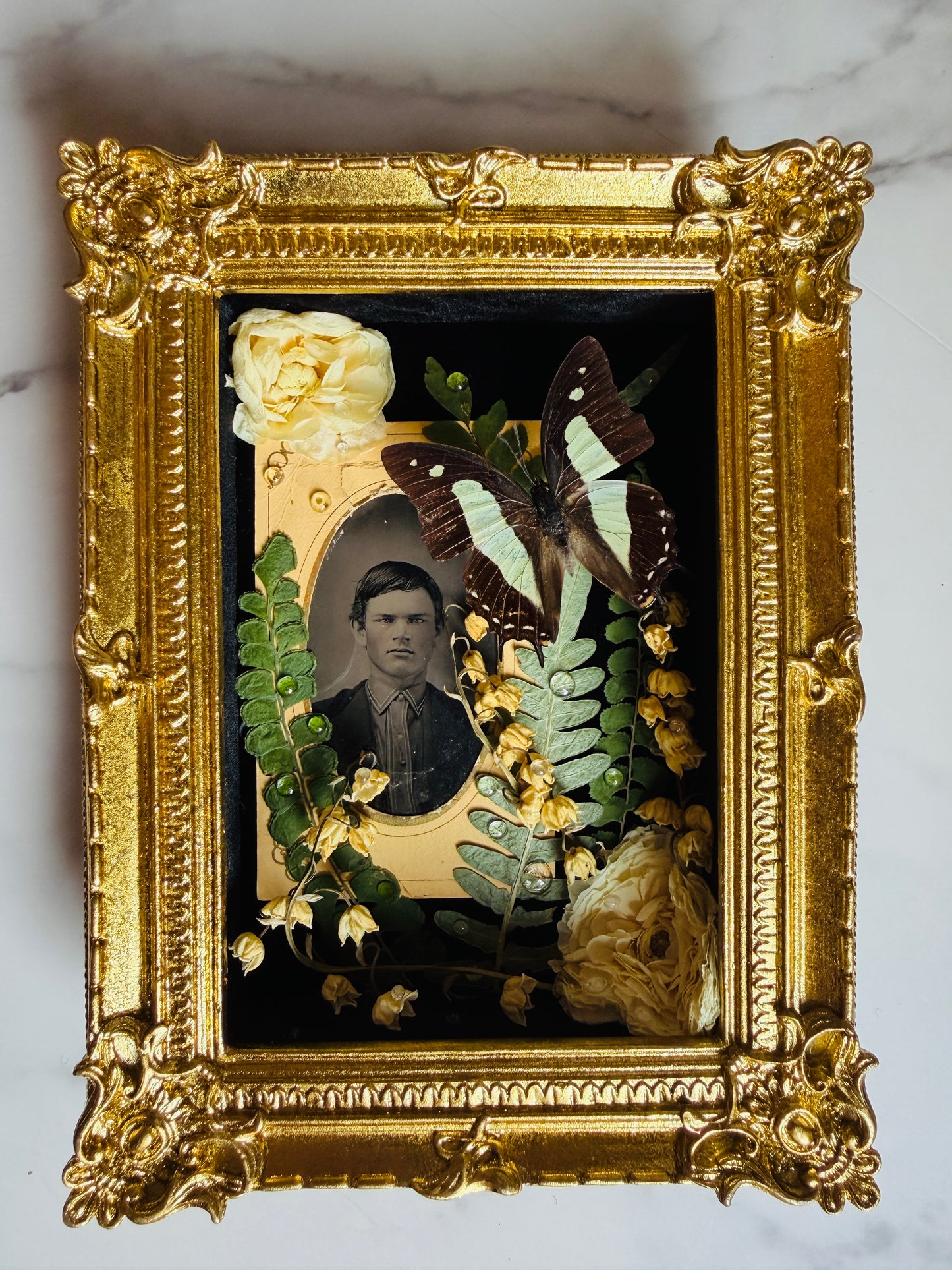 Ellison - Real Butterfly Art; Real Antique Tintype