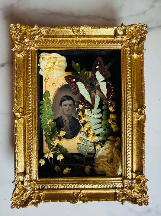 Ellison - Real Butterfly Art; Real Antique Tintype