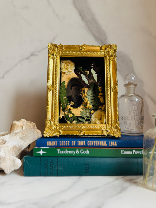 Ellison - Real Butterfly Art; Real Antique Tintype