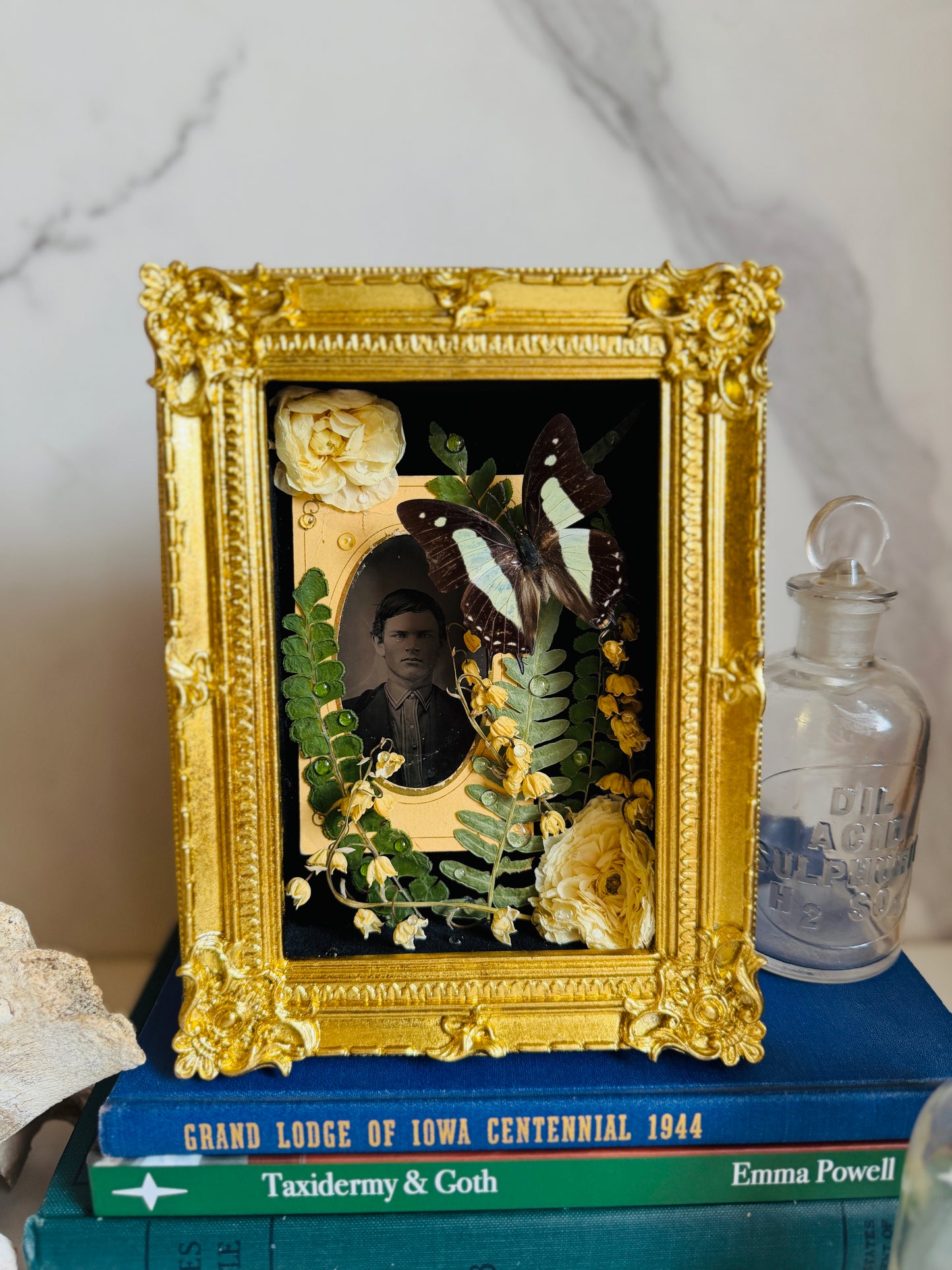 Ellison - Real Butterfly Art; Real Antique Tintype