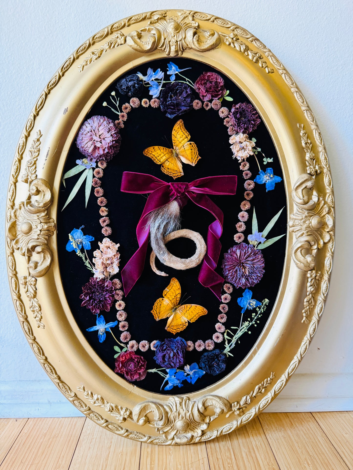 Real Insect Art; Antique Convex Bubble Glass Frame