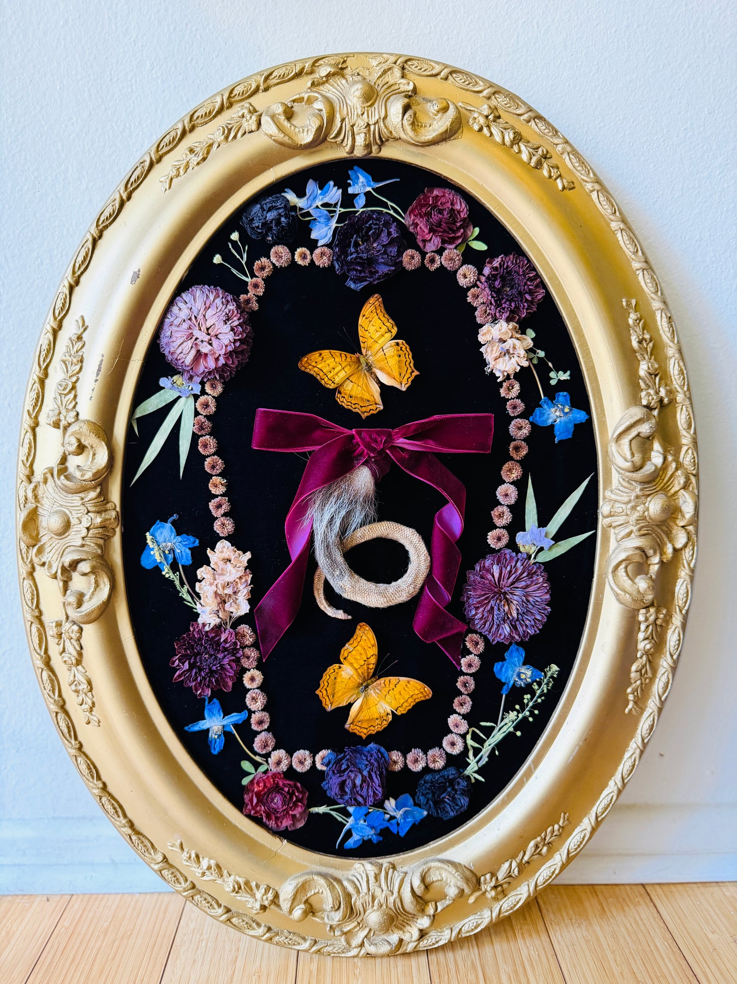 Real Insect Art; Antique Convex Bubble Glass Frame