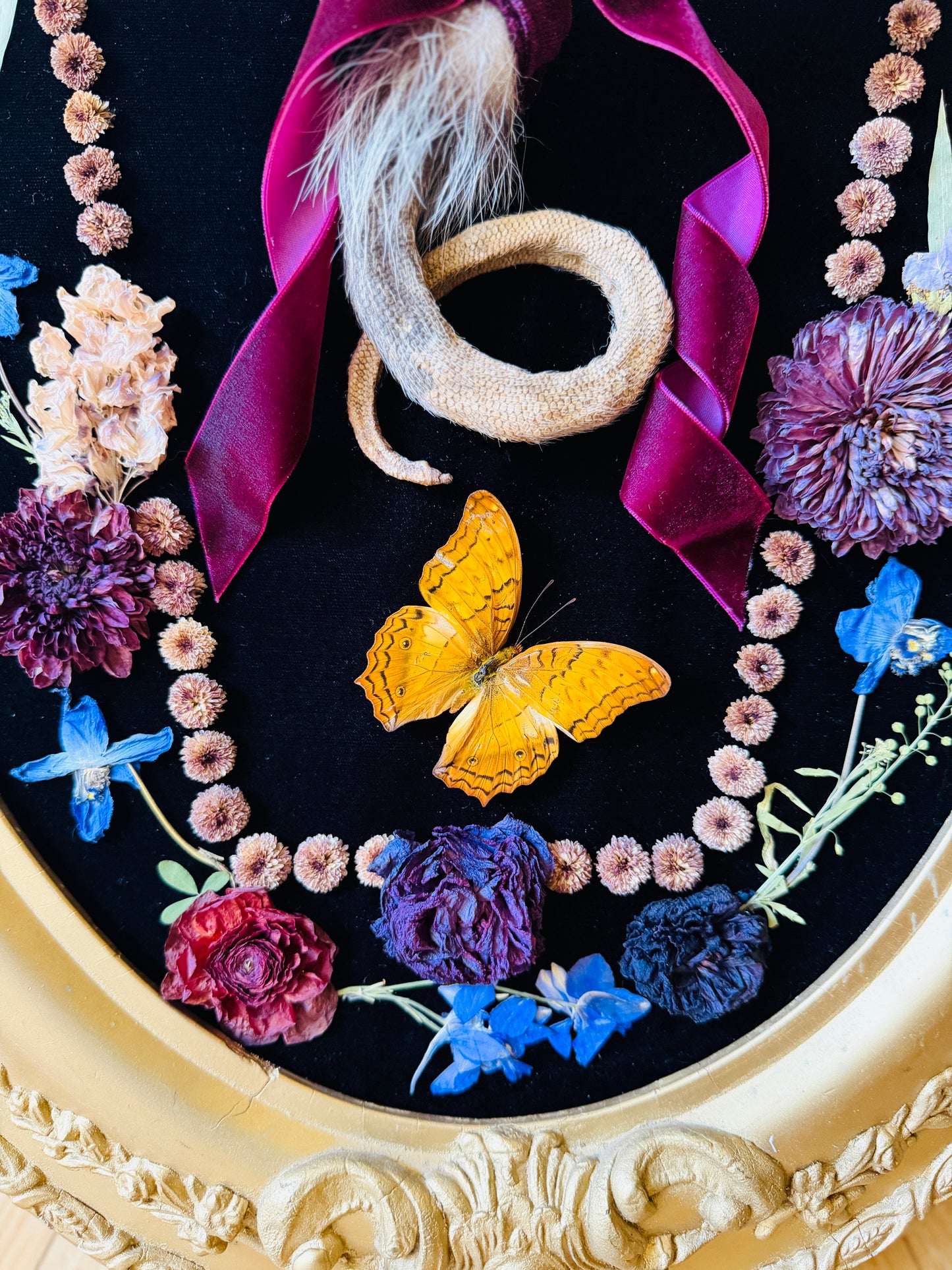 Real Insect Art; Antique Convex Bubble Glass Frame