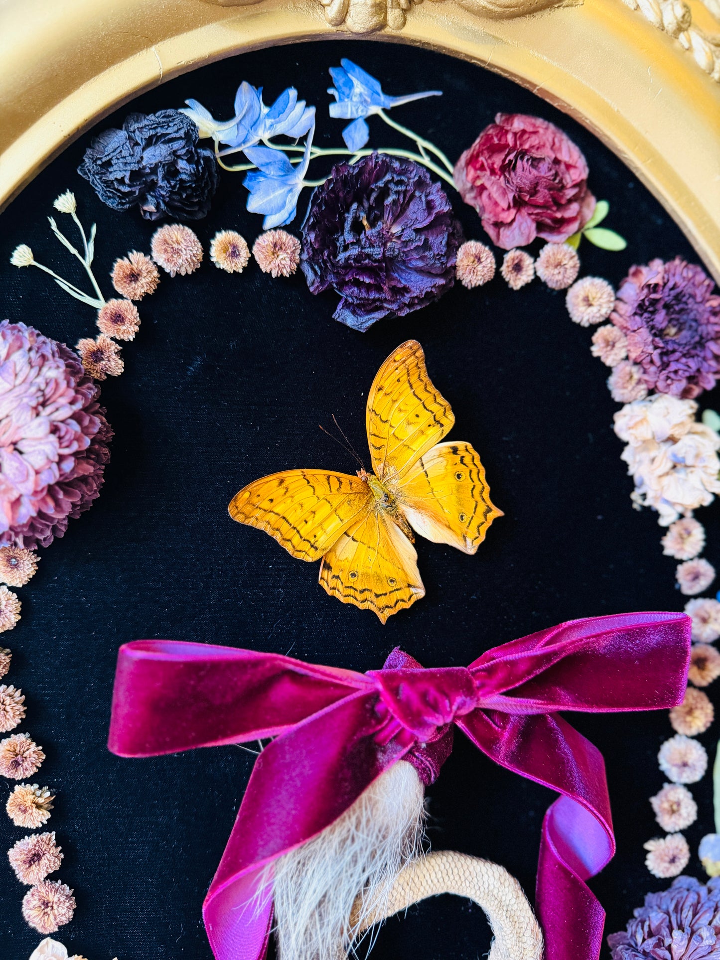 Real Insect Art; Antique Convex Bubble Glass Frame