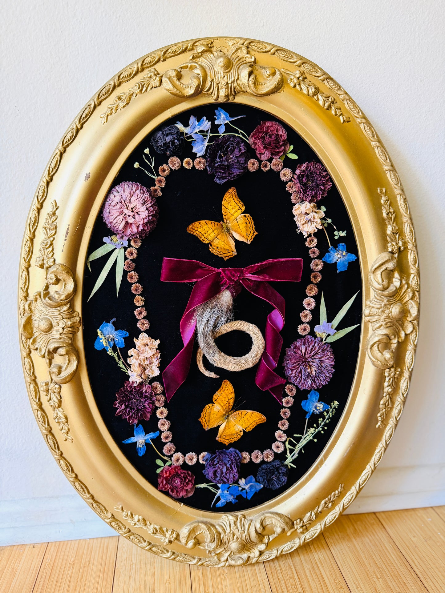 Real Insect Art; Antique Convex Bubble Glass Frame