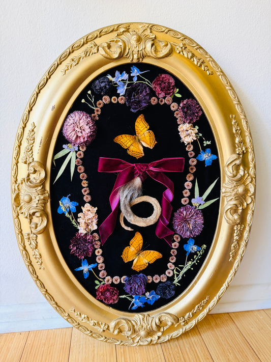 Real Insect Art; Antique Convex Bubble Glass Frame