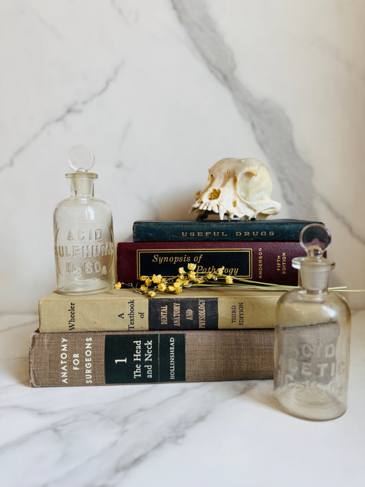 1958 Textbook of Dental Anatomy and Physiology; Vintage Medical Book