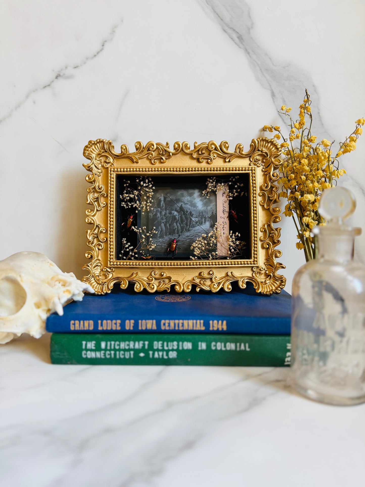 Hawthorne - Real Beetle Art; Real Antique Glass Slide
