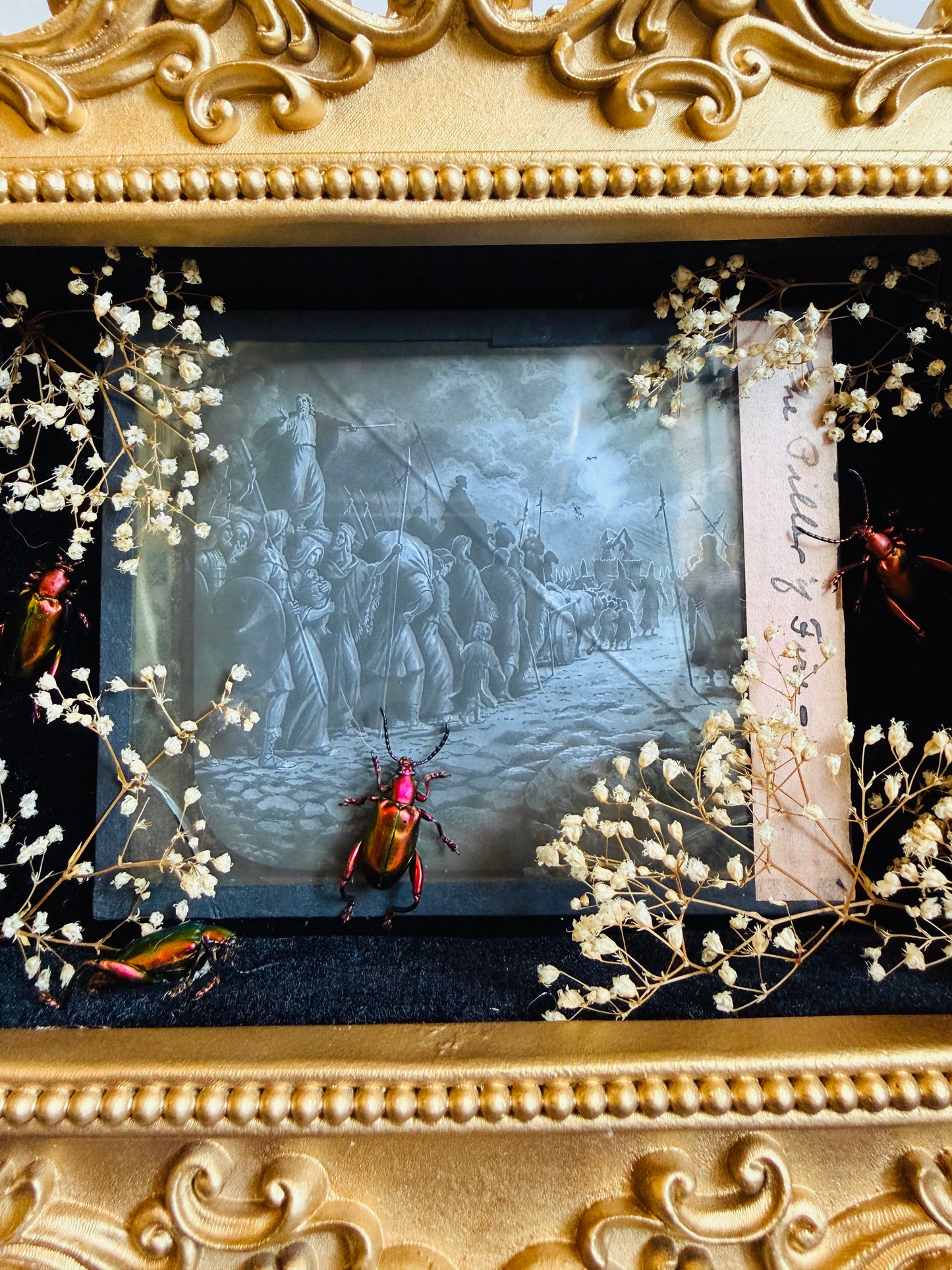 Hawthorne - Real Beetle Art; Real Antique Glass Slide