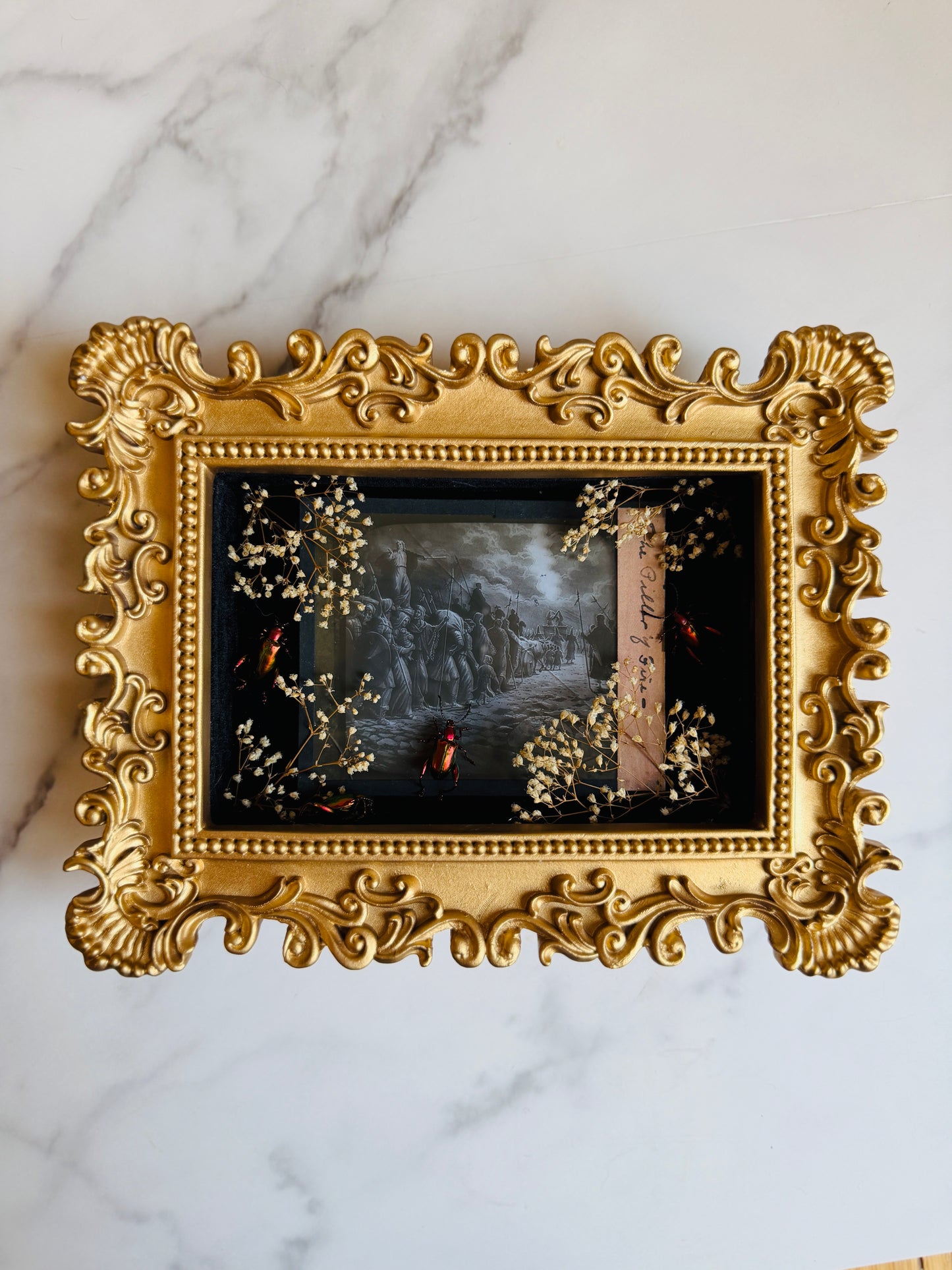 Hawthorne - Real Beetle Art; Real Antique Glass Slide