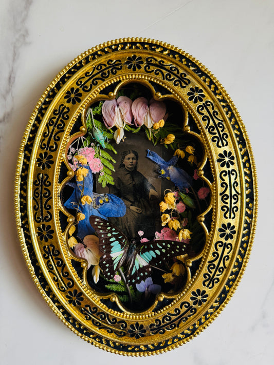 Lunaria - Real Butterfly & Beetle Art; Real Antique Tintype