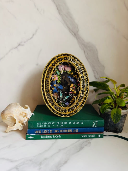 Lunaria - Real Butterfly & Beetle Art; Real Antique Tintype