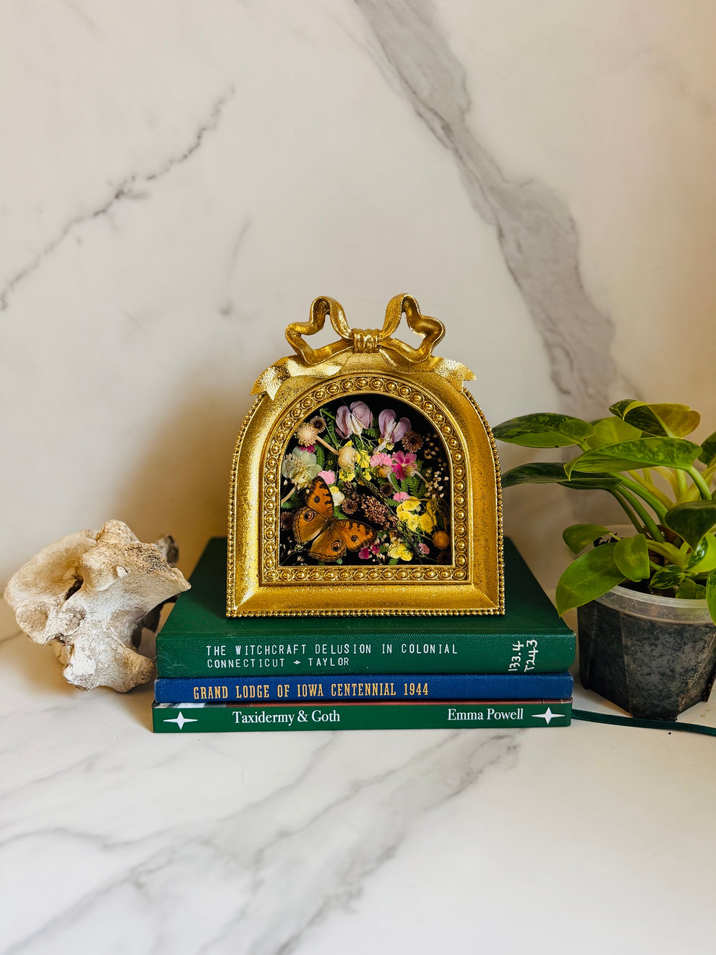 Seraphine - Real Butterfly Art; Real Dried Botanicals; Gold Ornate Frame
