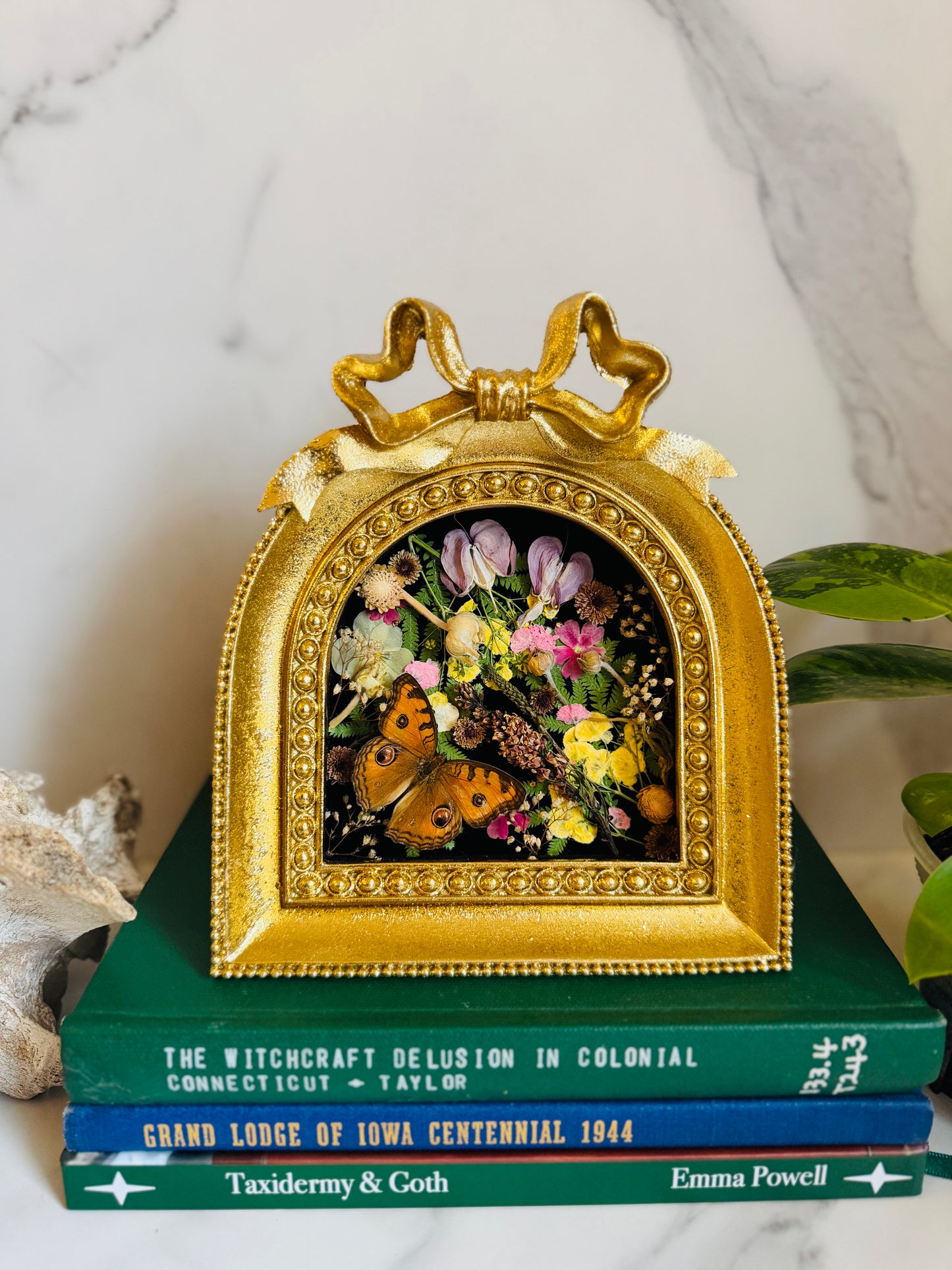 Seraphine - Real Butterfly Art; Real Dried Botanicals; Gold Ornate Frame