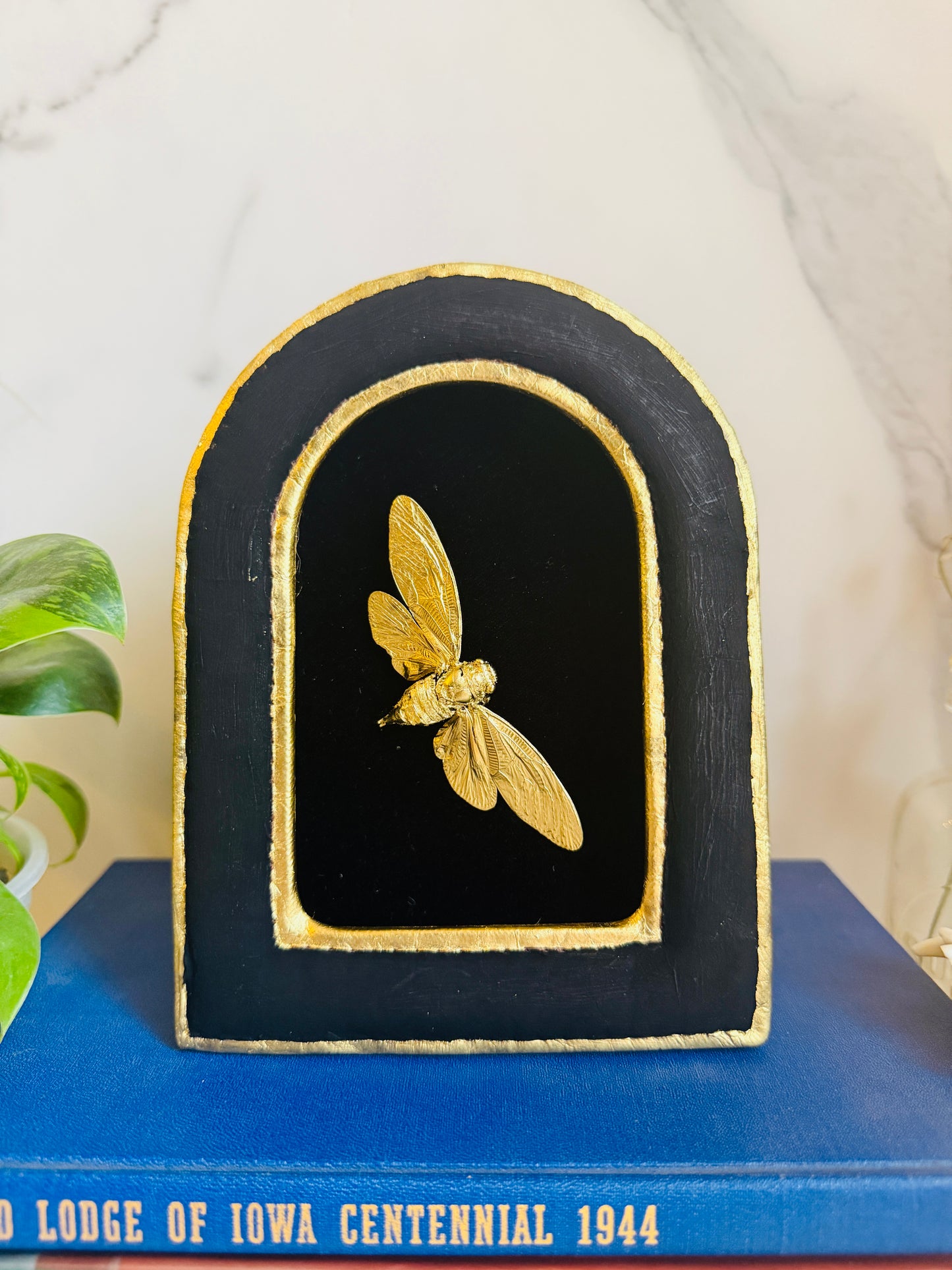 Aurecanta - Real Cicada Art; Gold Leafed Cicada