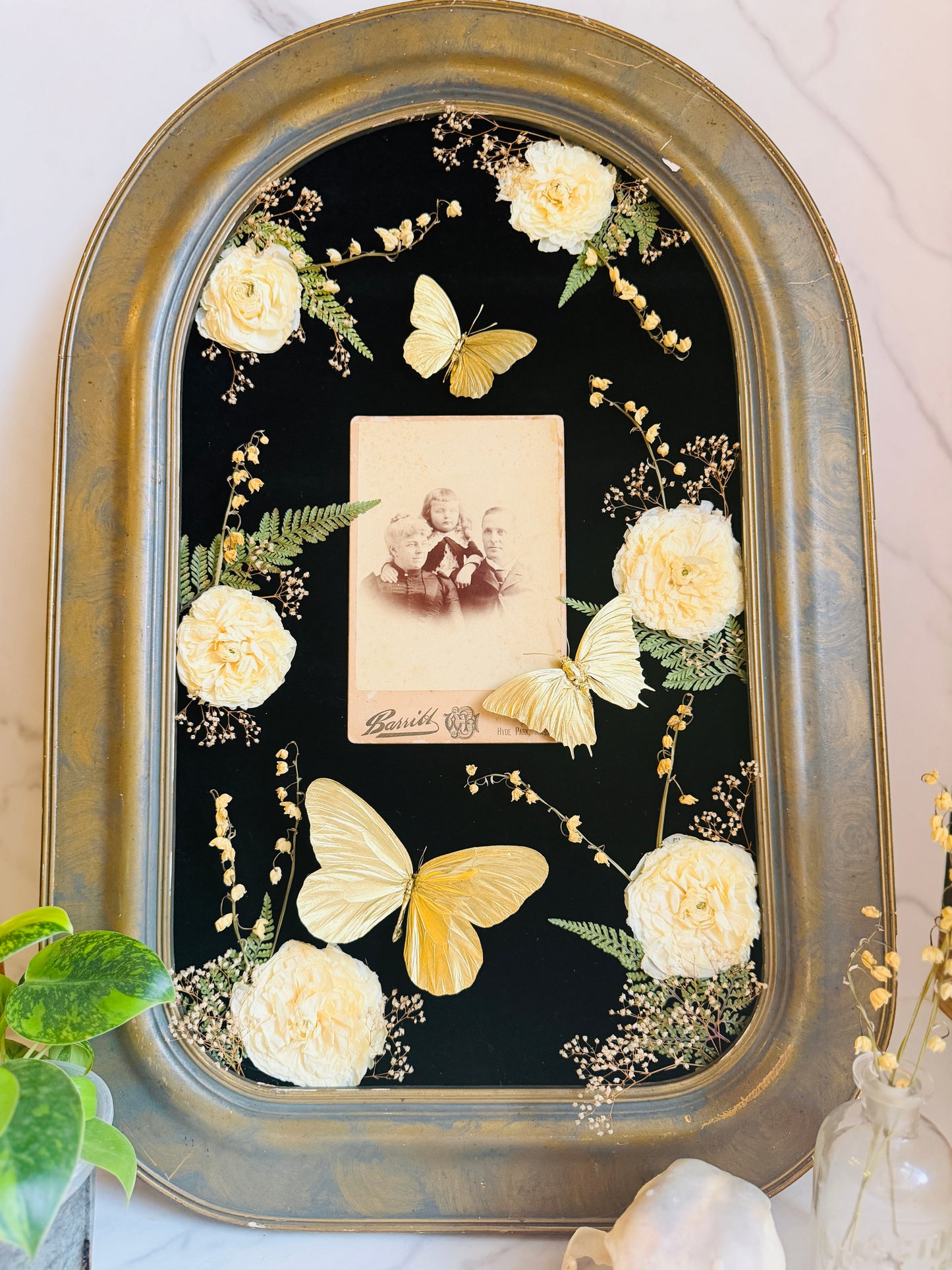 Bellamortua - Real Butterfly Art; Real Antique Cabinet Card; Real Antique Bubble Glass Frame