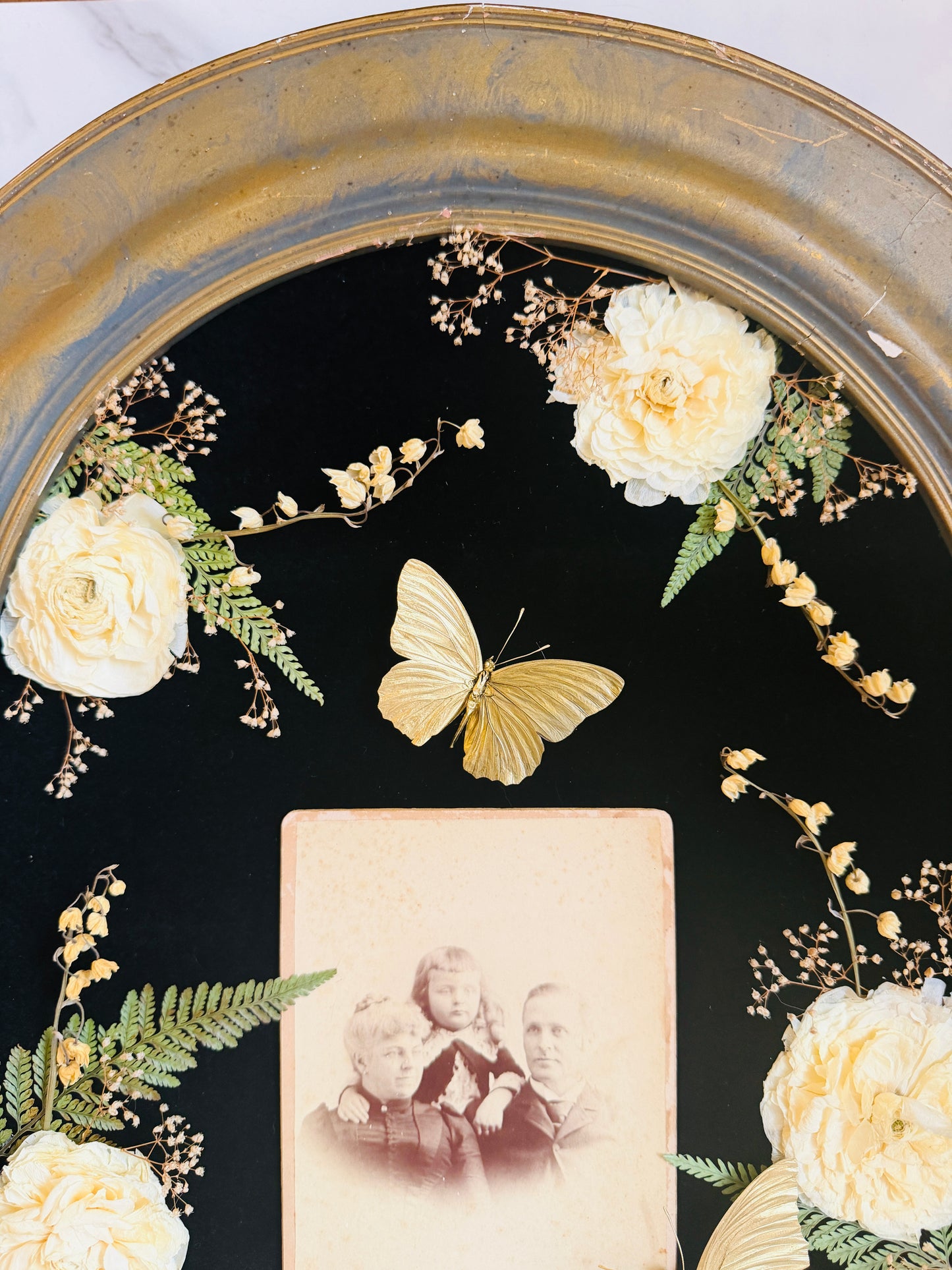 Bellamortua - Real Butterfly Art; Real Antique Cabinet Card; Real Antique Bubble Glass Frame