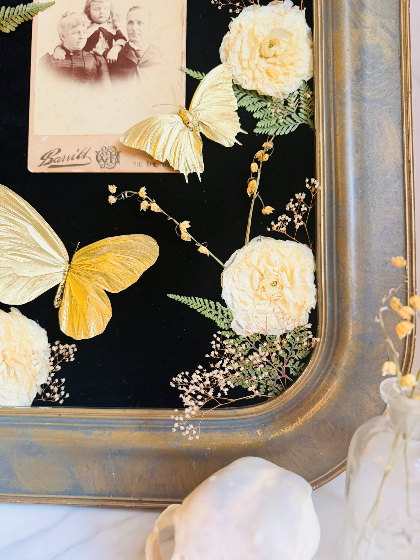 Bellamortua - Real Butterfly Art; Real Antique Cabinet Card; Real Antique Bubble Glass Frame