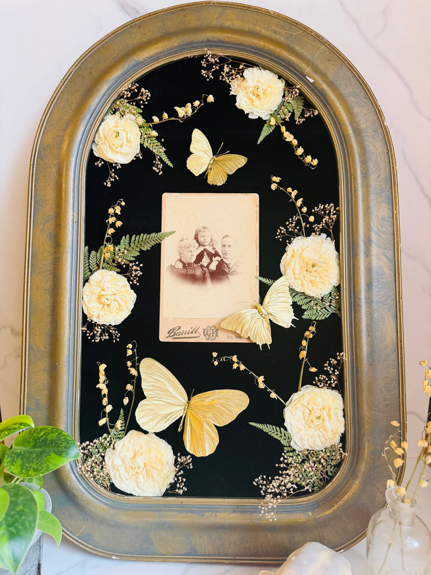 Bellamortua - Real Butterfly Art; Real Antique Cabinet Card; Real Antique Bubble Glass Frame