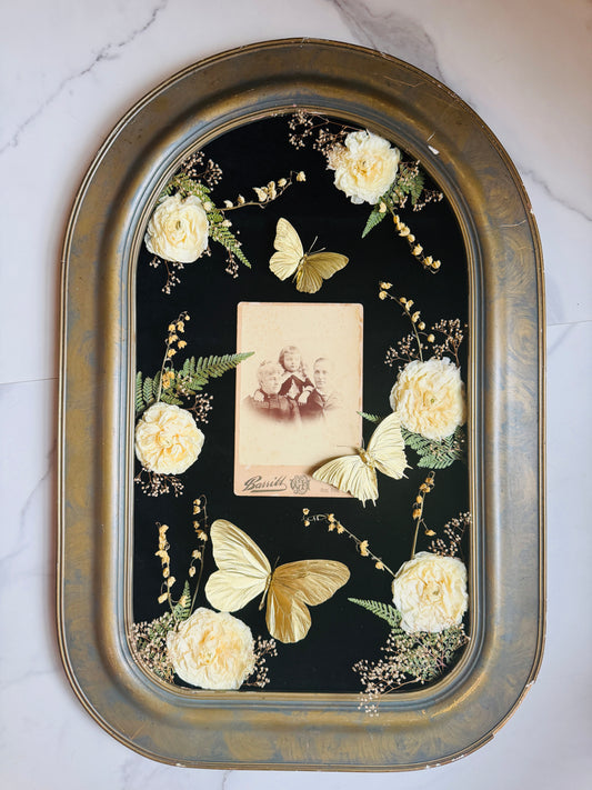 Bellamortua - Real Butterfly Art; Real Antique Cabinet Card; Real Antique Bubble Glass Frame