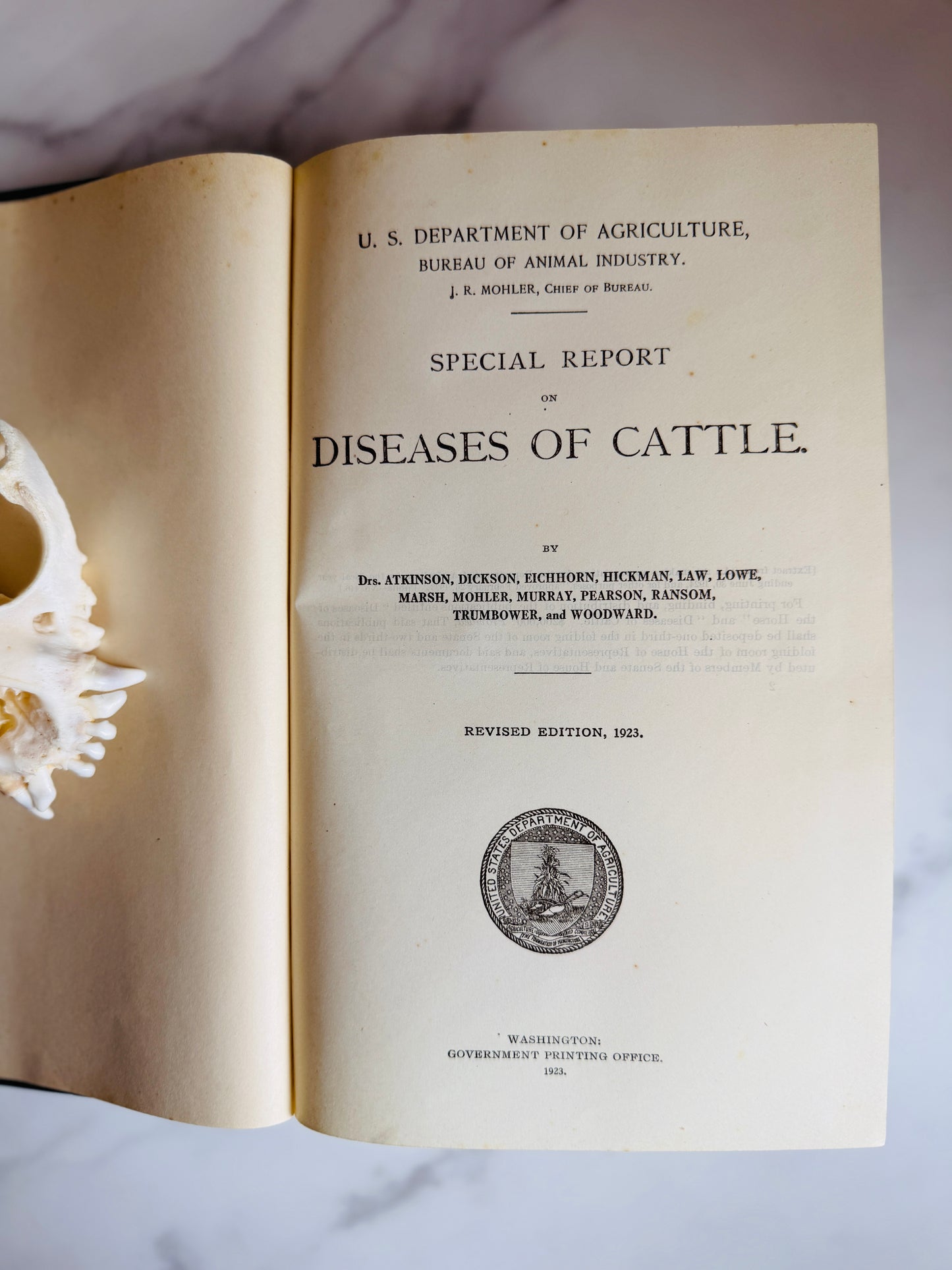 1923 Diseases of Cattle; Antique Agriculture Book