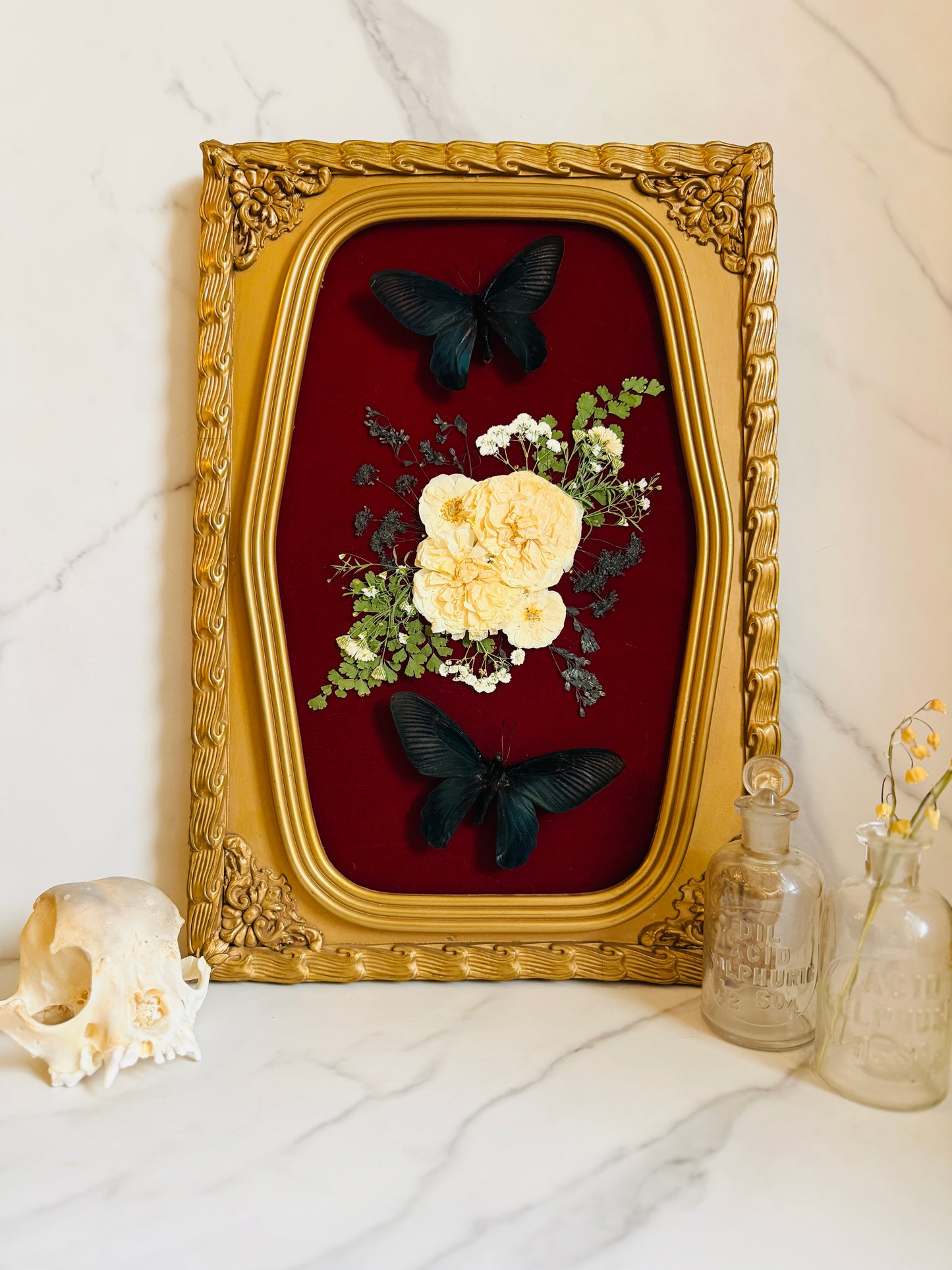 Lilliane - Real Butterfly Art; Ornate Bubble Glass Frame