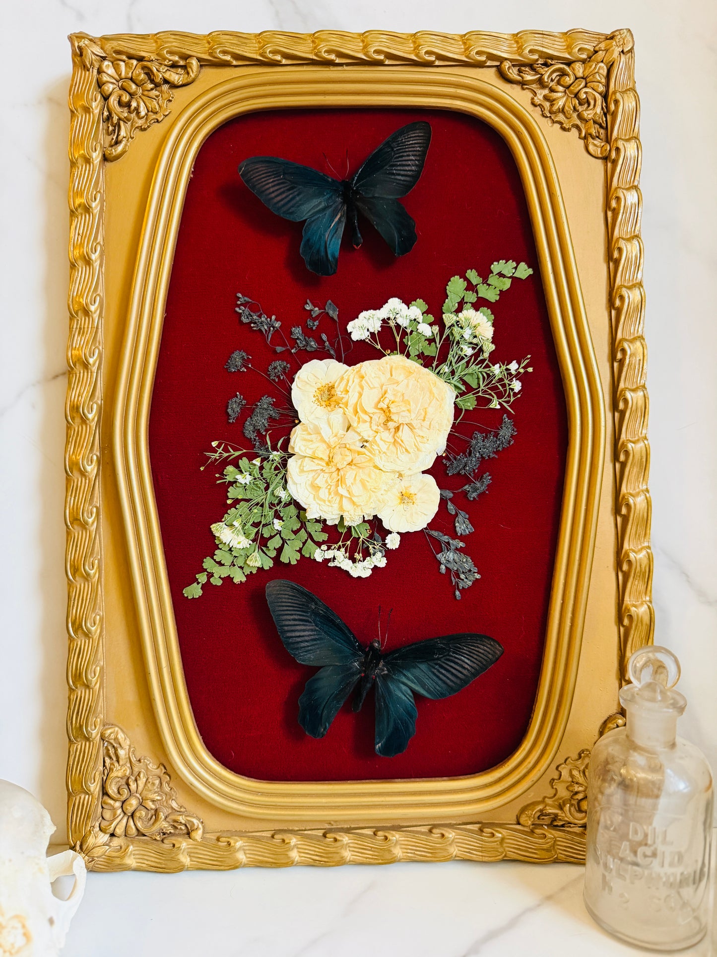 Lilliane - Real Butterfly Art; Ornate Bubble Glass Frame