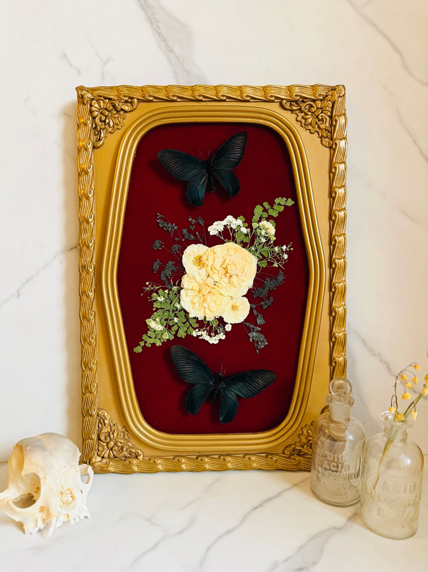 Lilliane - Real Butterfly Art; Ornate Bubble Glass Frame