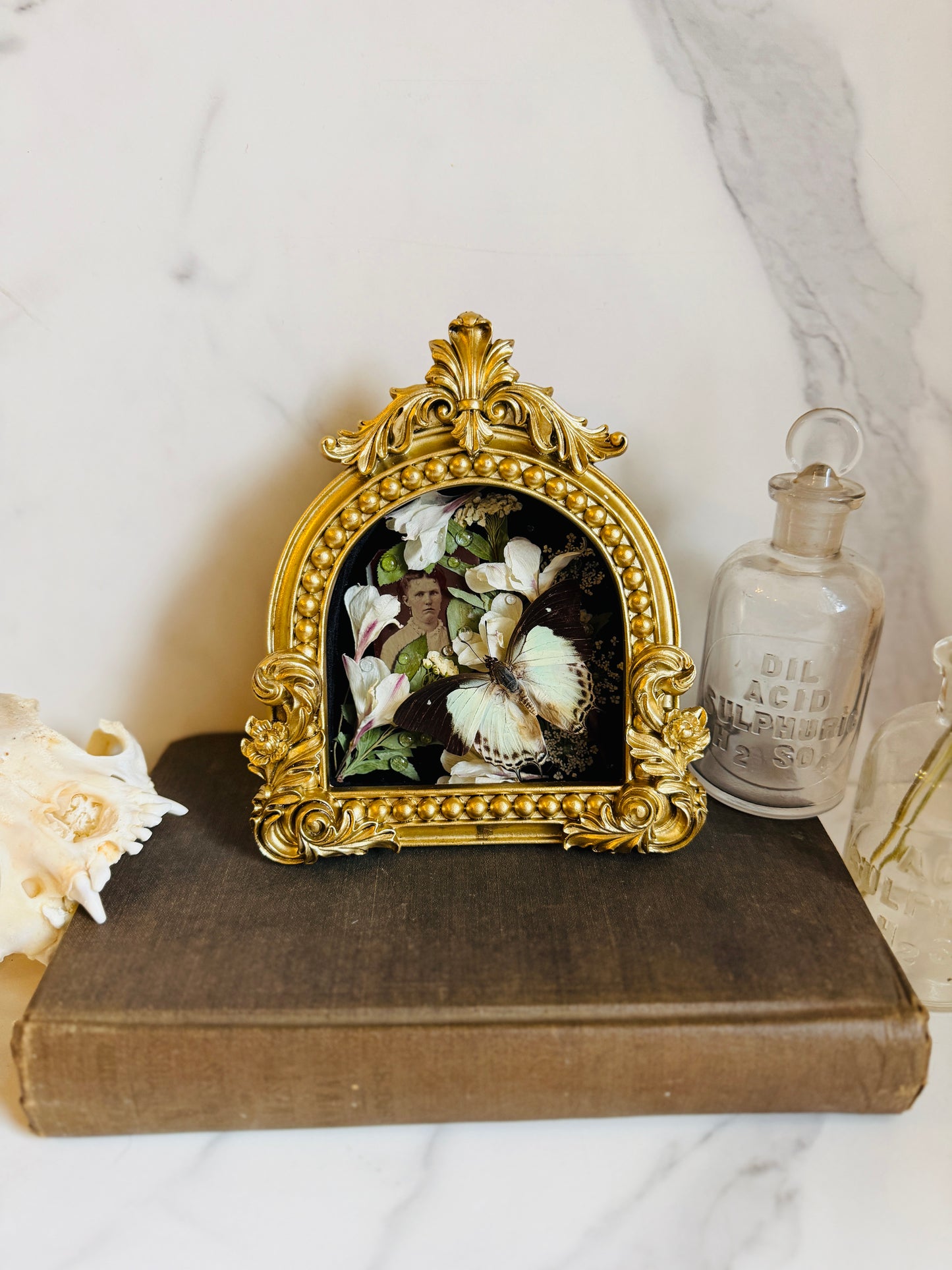 Rainveil - Real Butterfly Art; Real Texas Rain Lilies; Real Antique Tintype