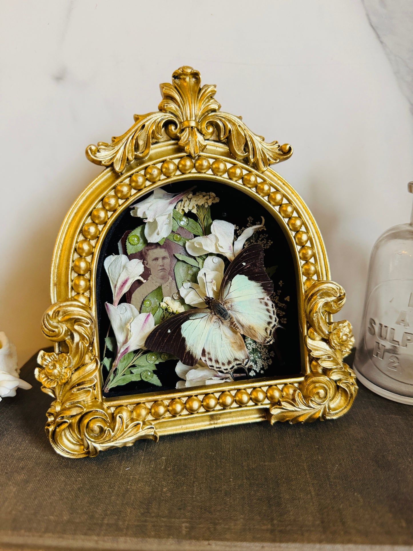 Rainveil - Real Butterfly Art; Real Texas Rain Lilies; Real Antique Tintype