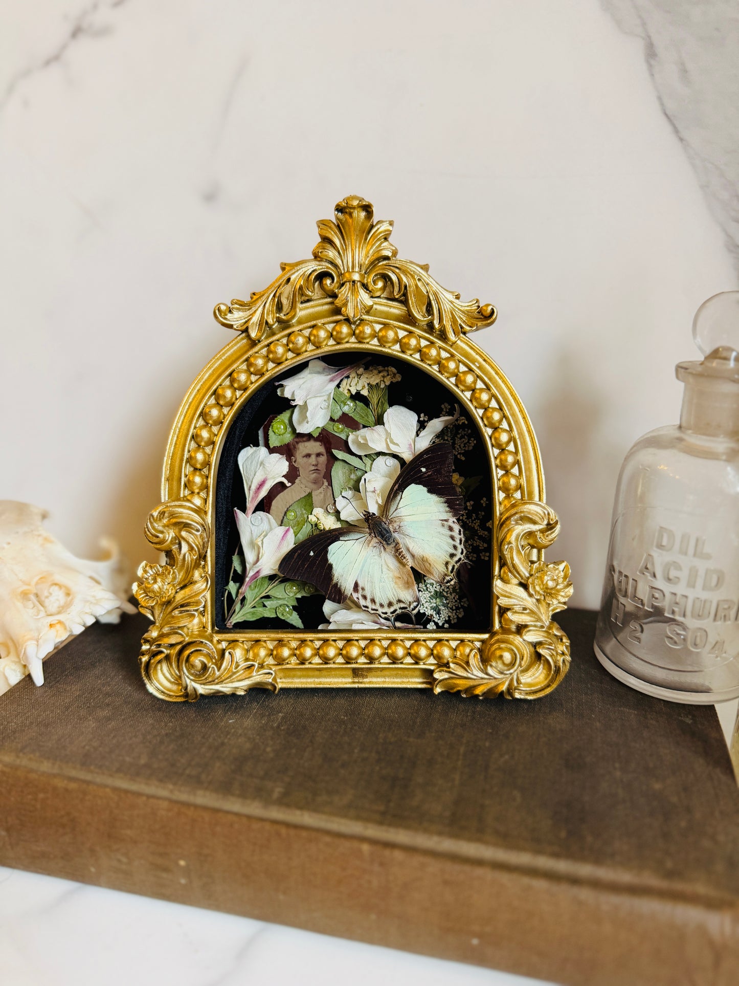 Rainveil - Real Butterfly Art; Real Texas Rain Lilies; Real Antique Tintype