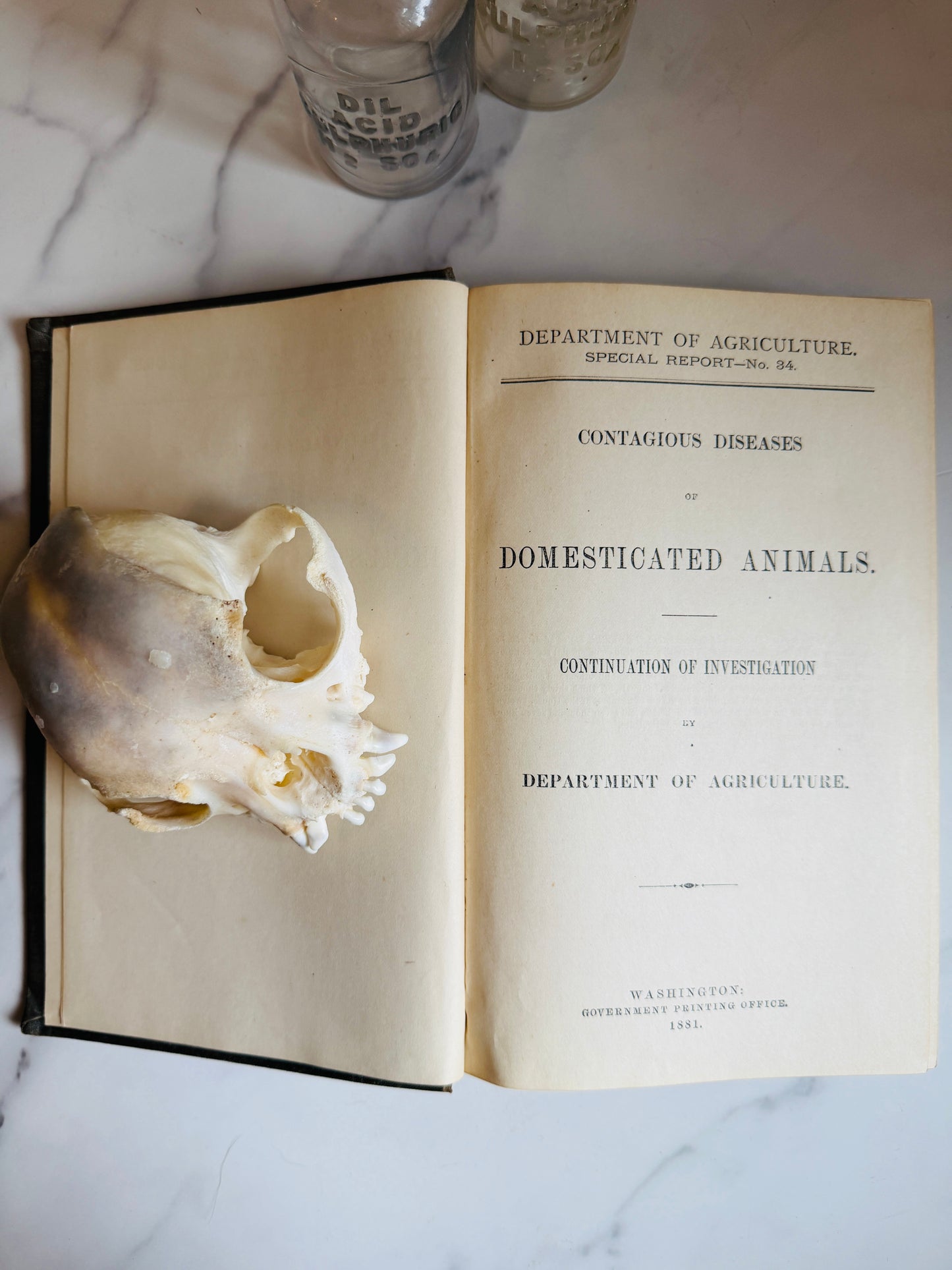 1881 Diseases of Domesticated Animals; Antique Agriculture Book