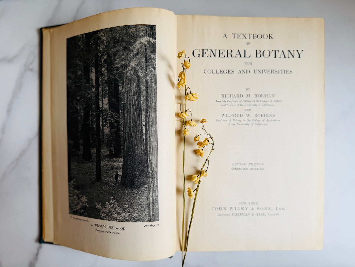 1927 Textbook of General Botany; Antique Science Book