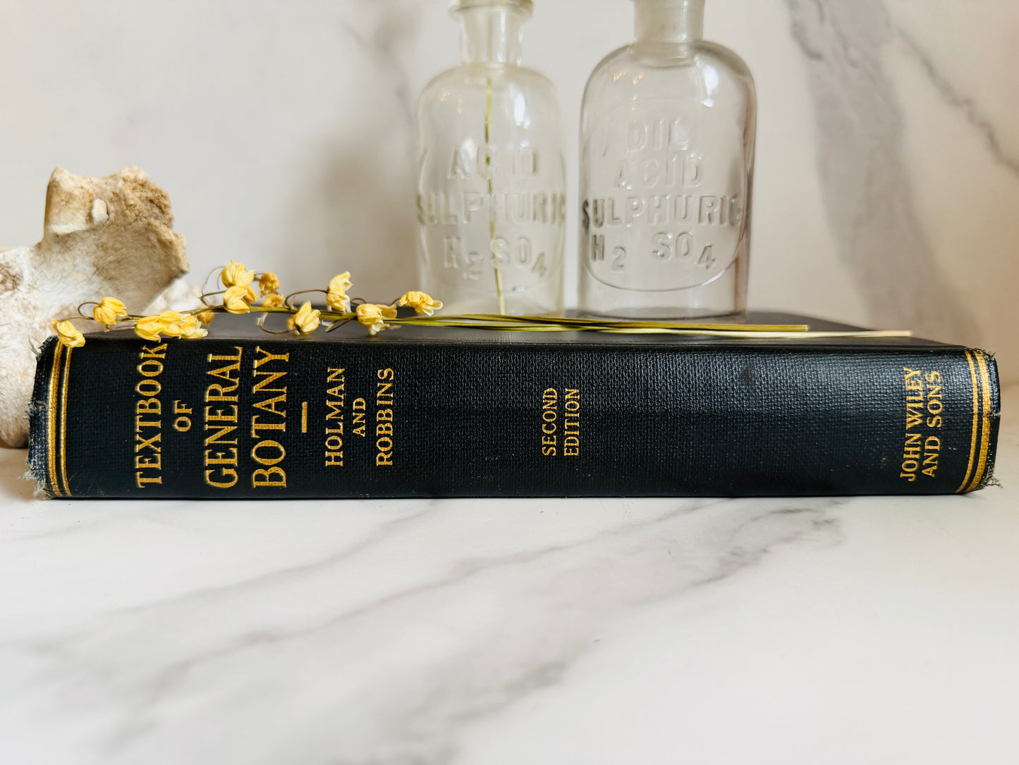 1927 Textbook of General Botany; Antique Science Book