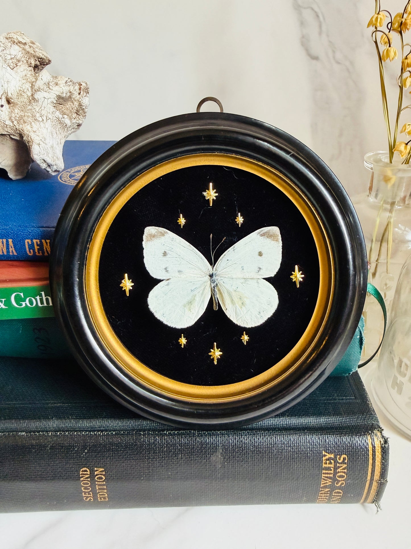 Velora - Real Butterfly Art; Vintage Bubble Glass Frame