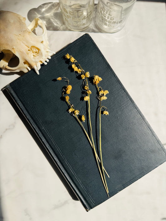 1927 Textbook of General Botany; Antique Science Book