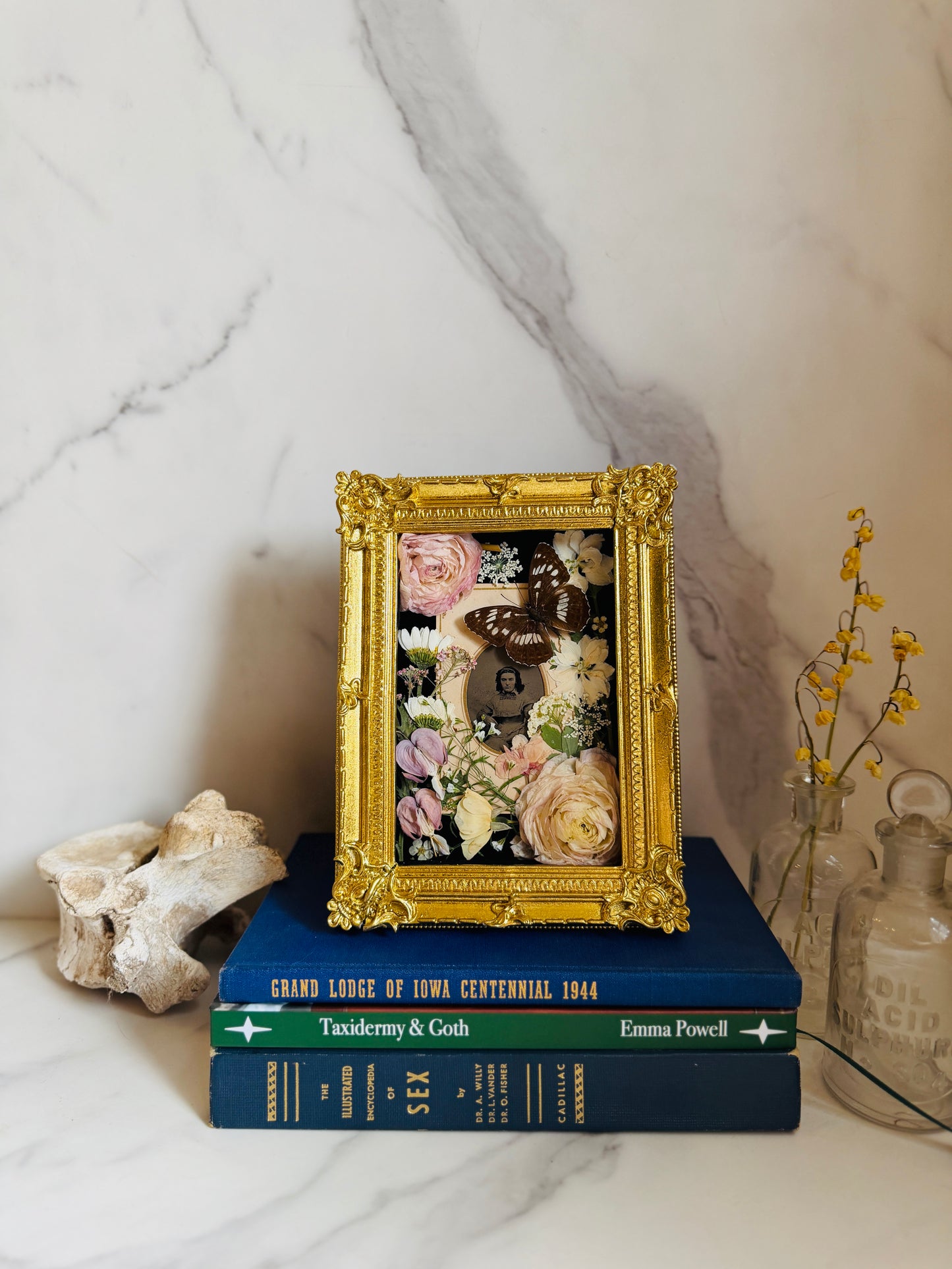 Aurethia - Real Butterfly Art; Real Antique Tintype