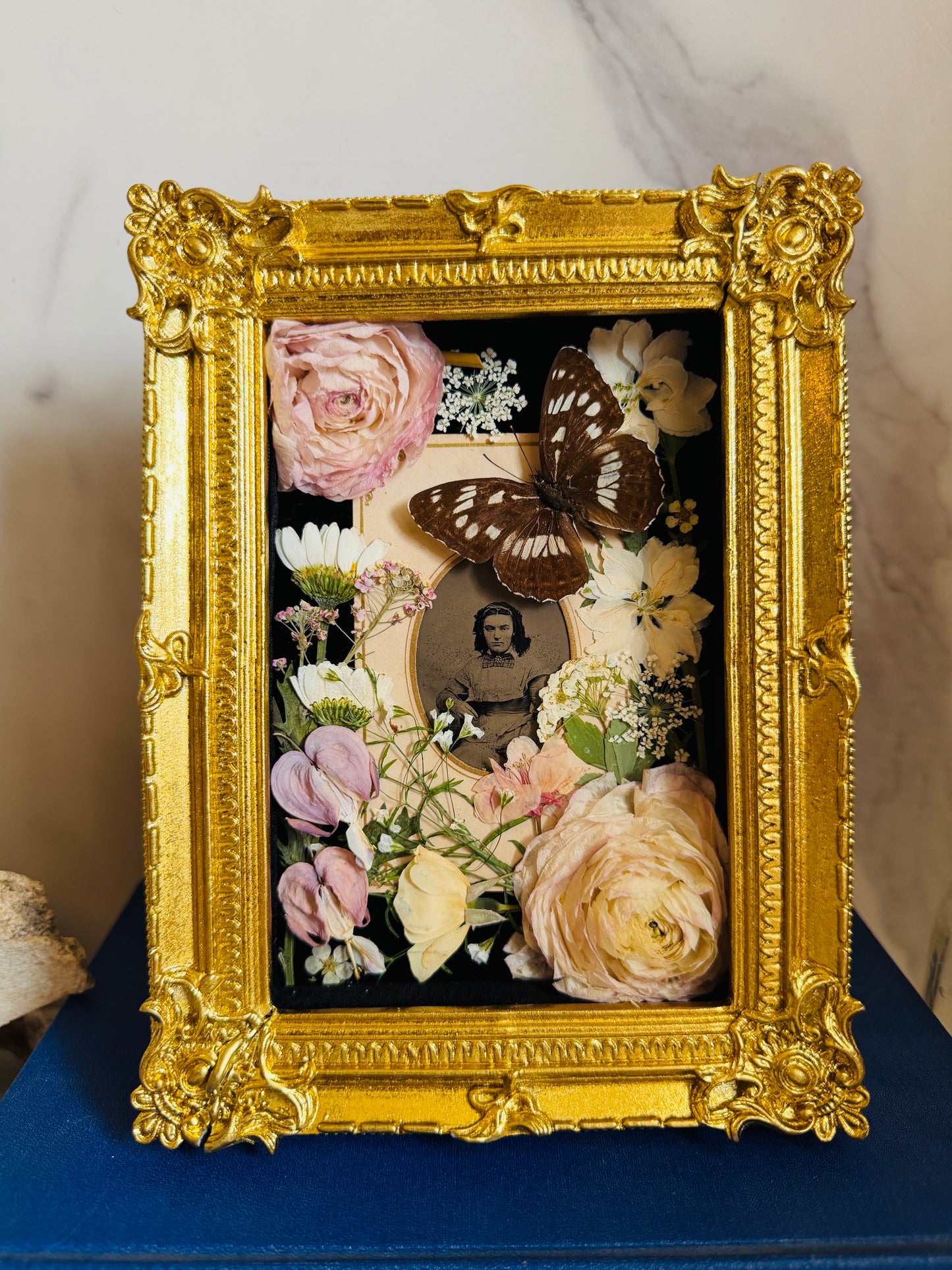 Aurethia - Real Butterfly Art; Real Antique Tintype