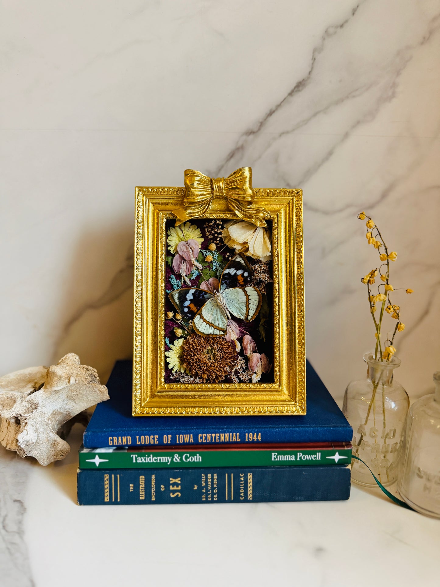 Floréveil - Real Butterfly Art; Gold Ornate Frame