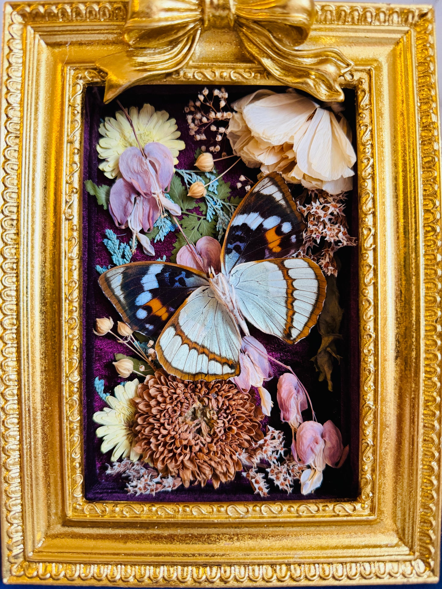 Floréveil - Real Butterfly Art; Gold Ornate Frame