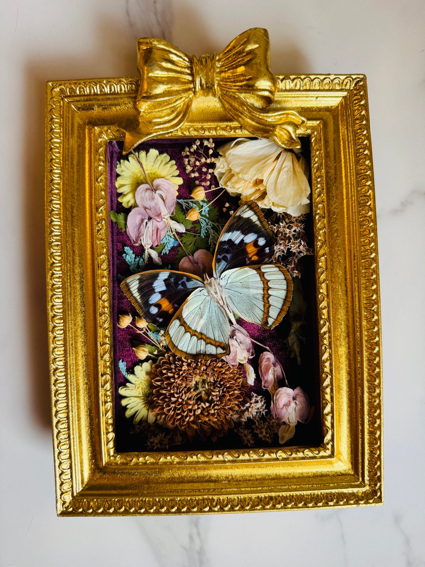 Floréveil - Real Butterfly Art; Gold Ornate Frame