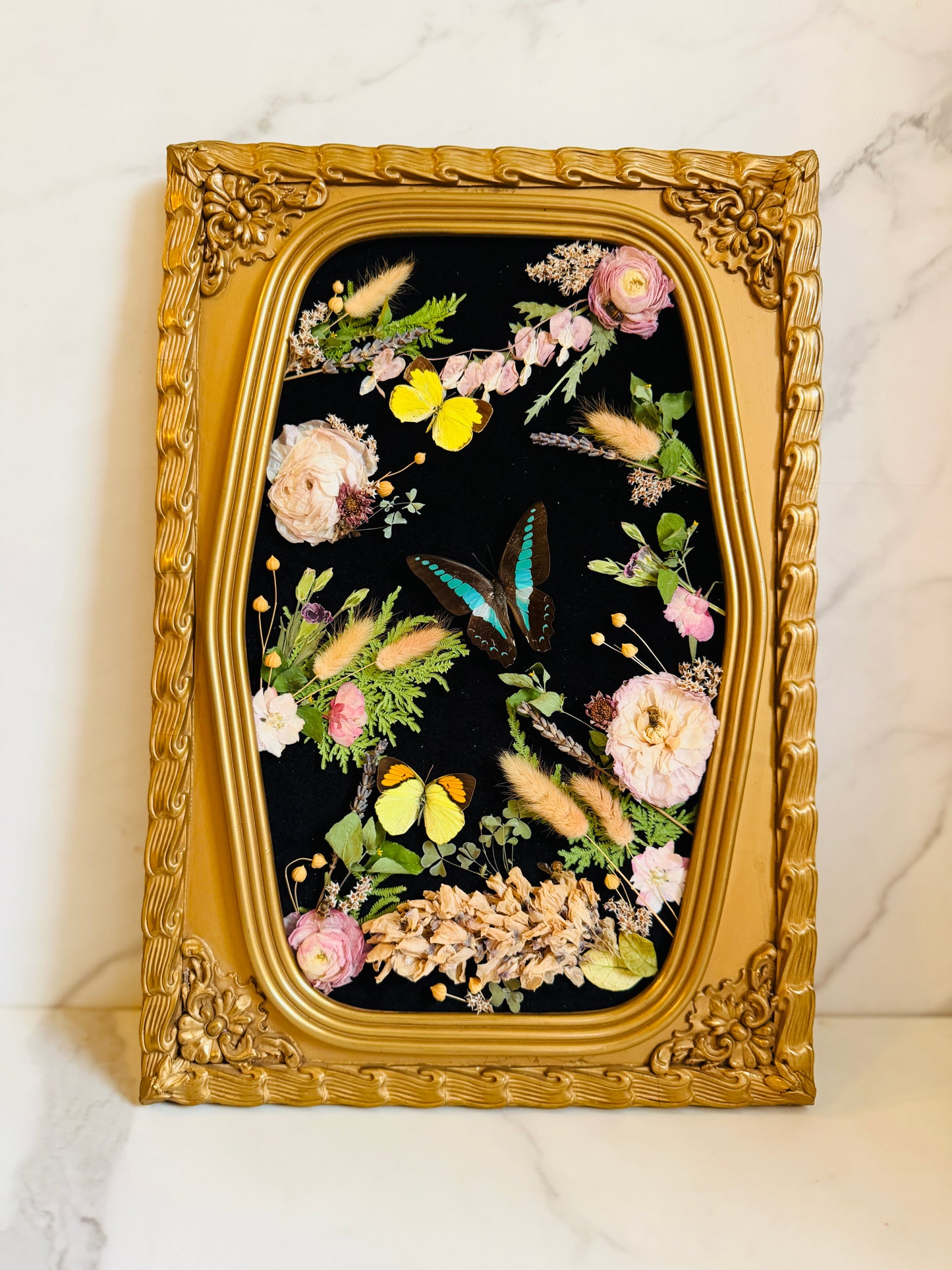 Apian Reverie - Real Butterfly Art; Real Antique Bubble/Convex Glass