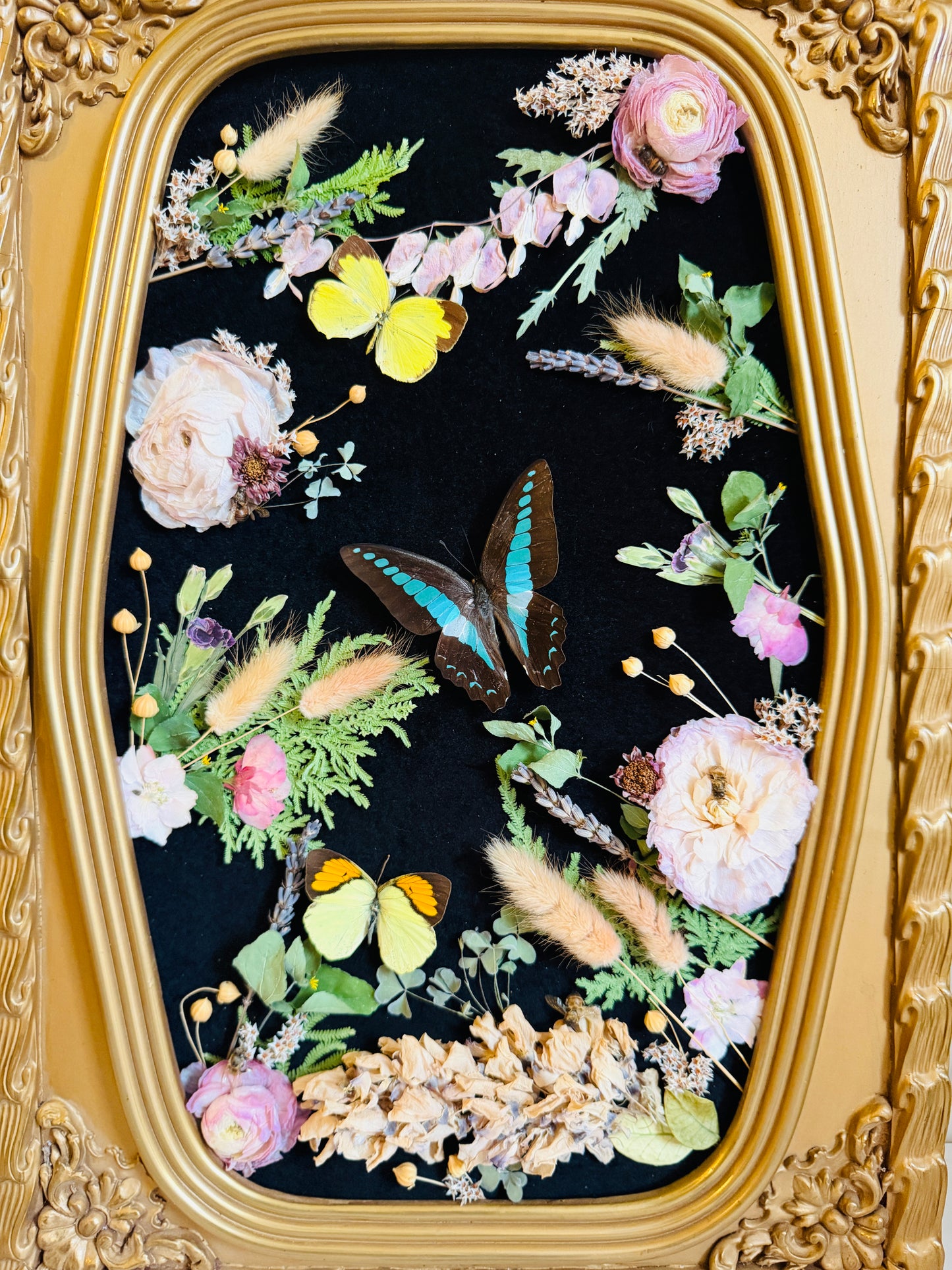 Apian Reverie - Real Butterfly Art; Real Antique Bubble/Convex Glass