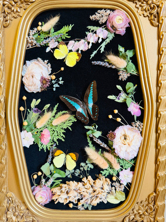 Apian Reverie - Real Butterfly Art; Real Antique Bubble/Convex Glass