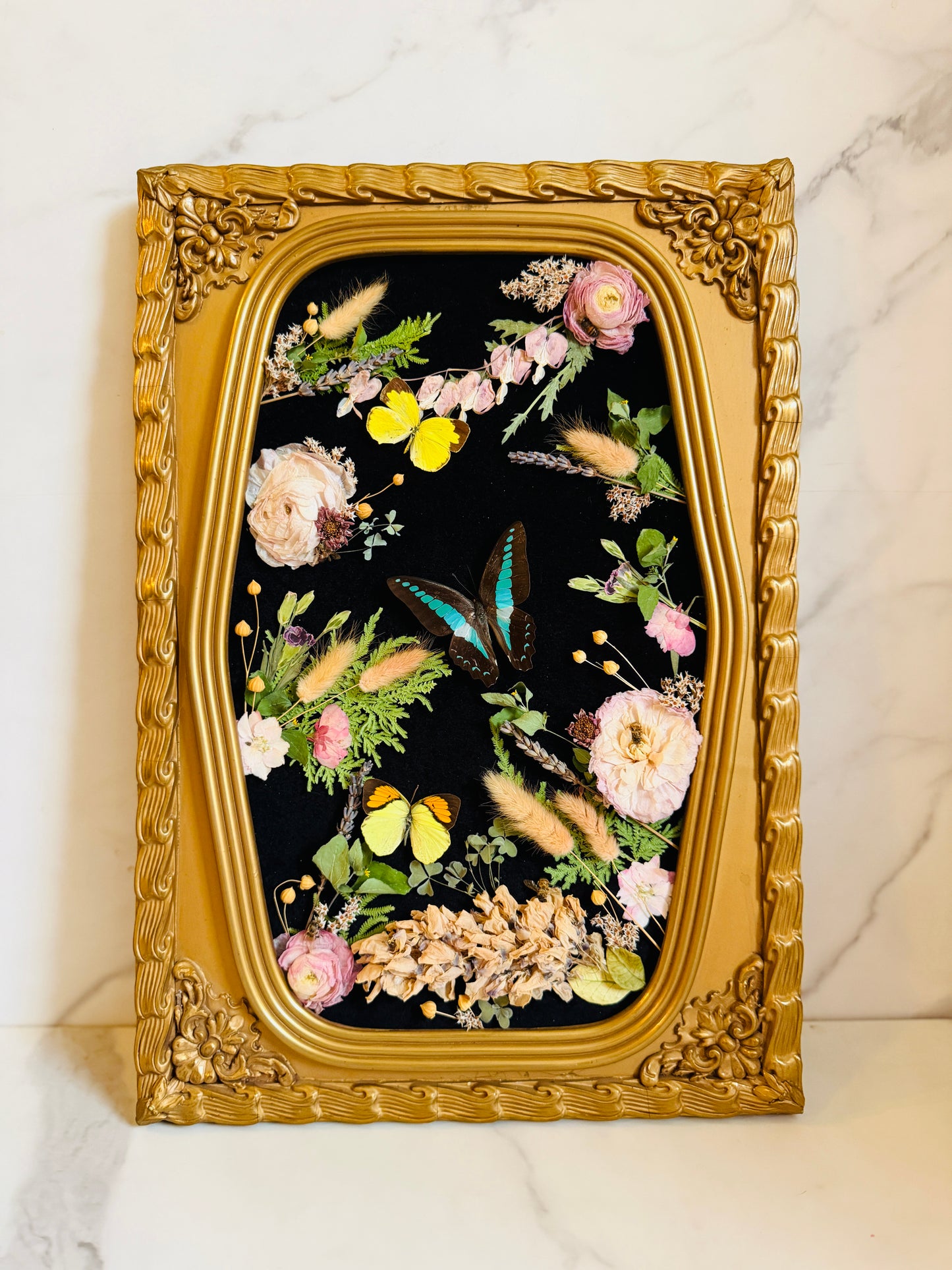 Apian Reverie - Real Butterfly Art; Real Antique Bubble/Convex Glass