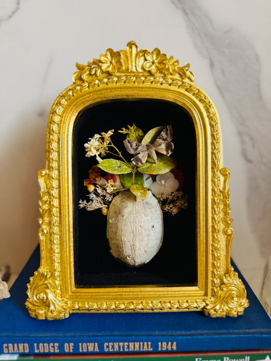 Thalassa Relic - Real Moth Art; Real Turtle Shell