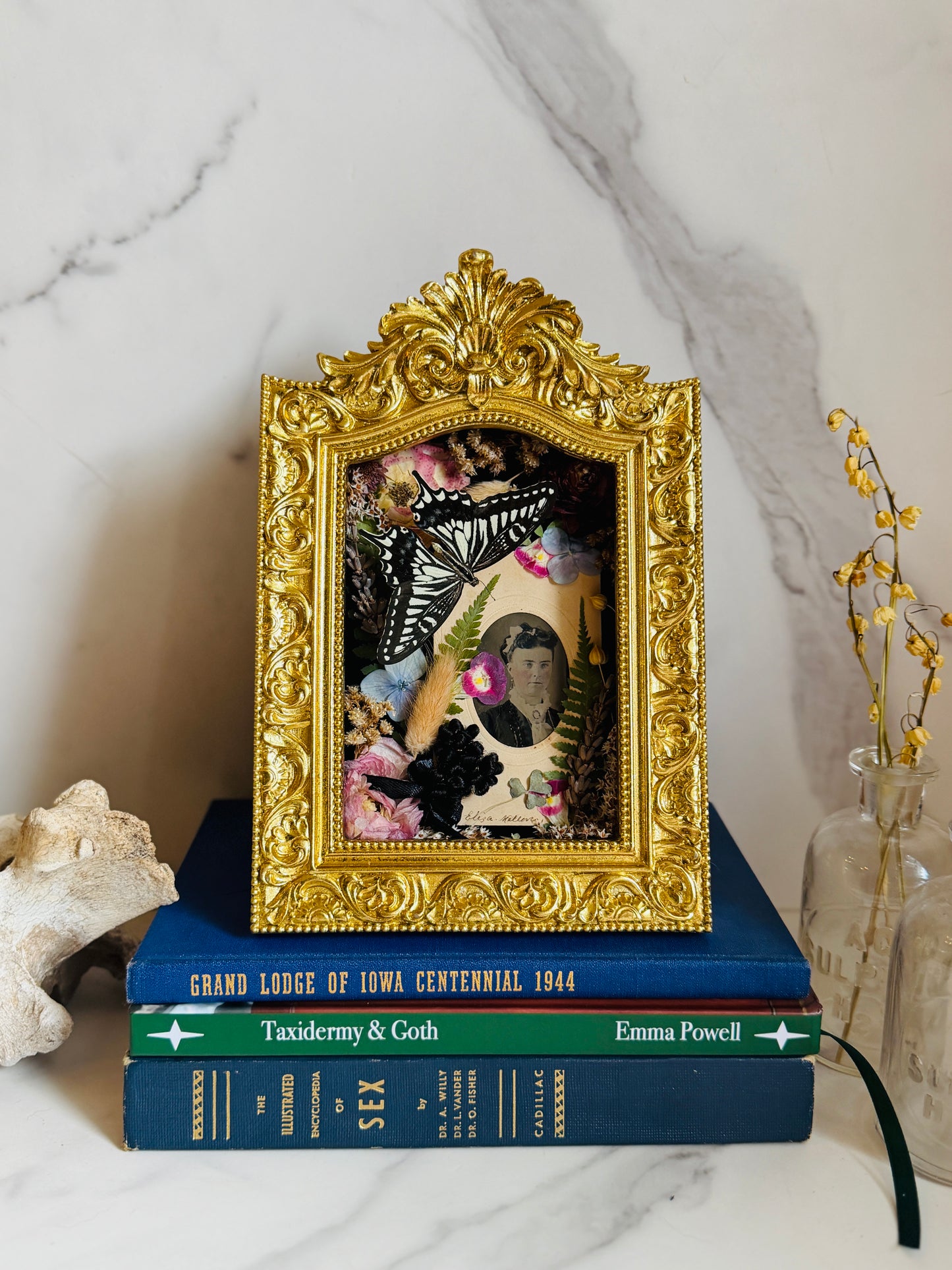 Virethys - Real Butterfly Art; Real Victorian Inspired Hairwork; Real Antique Tintype