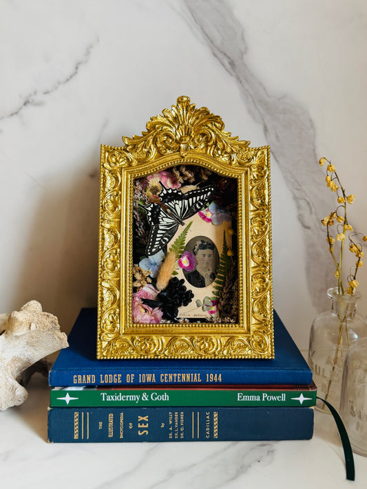 Virethys - Real Butterfly Art; Real Victorian Inspired Hairwork; Real Antique Tintype