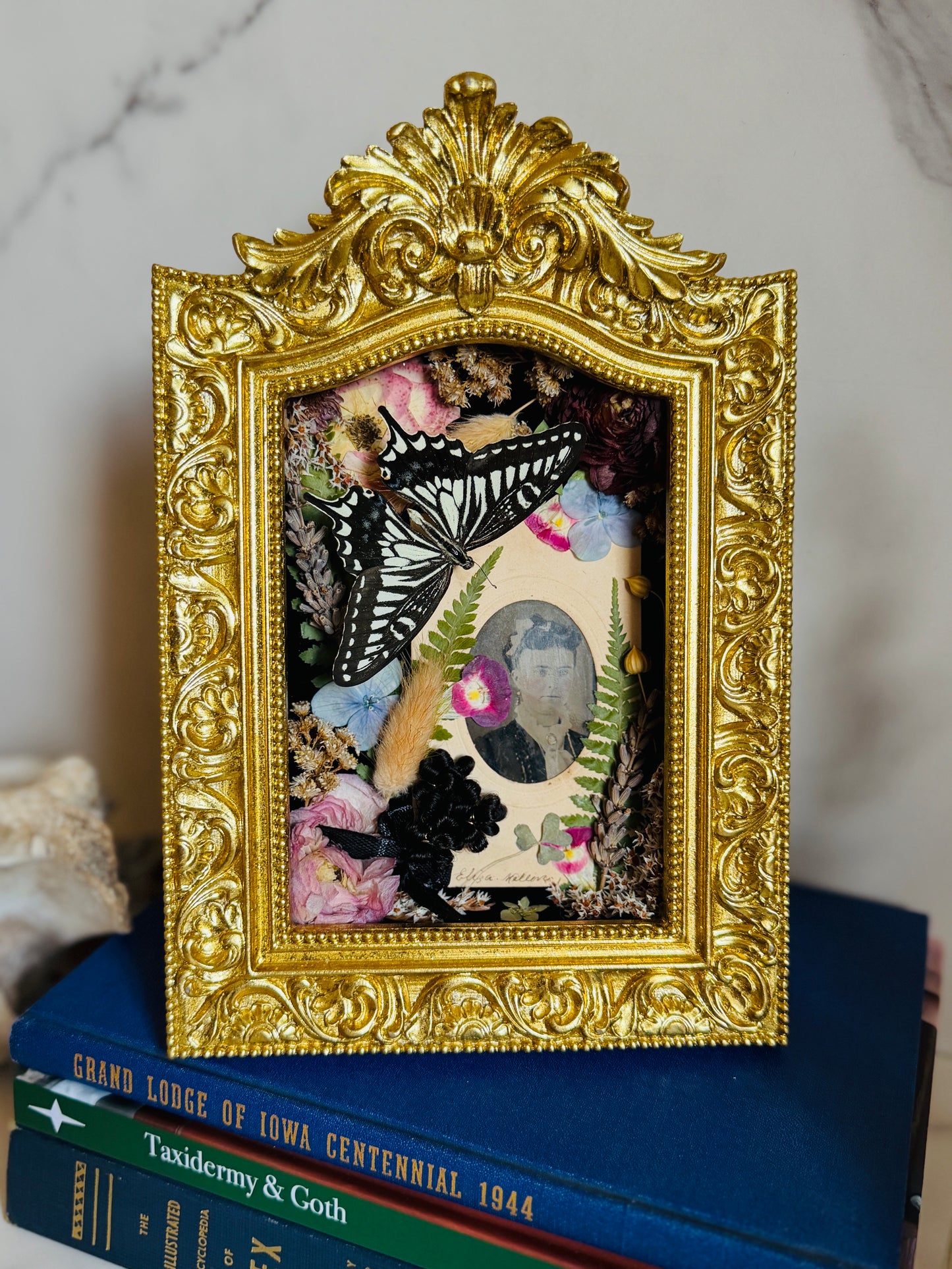 Virethys - Real Butterfly Art; Real Victorian Inspired Hairwork; Real Antique Tintype