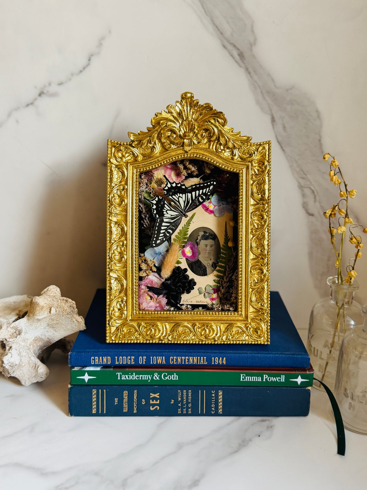 Virethys - Real Butterfly Art; Real Victorian Inspired Hairwork; Real Antique Tintype